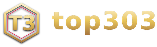 top303 logo